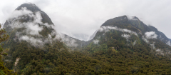På vej til Milford Sound fra Te Anau, South Island, New Zealand