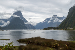 Milford Sound, South Island, New Zealand