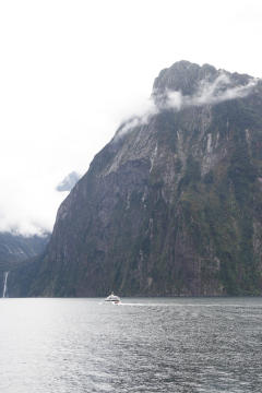 Milford Sound, South Island, New Zealand