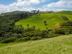 Wharariki, South Island, New Zealand