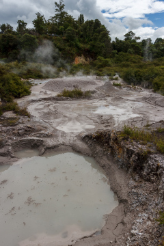Rotorua, North Island, New Zealand