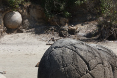 Moeraki Boulders, South Island, New Zealand
