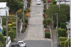 Baldwin Street, Dunedin, South Island, New Zealand. Den stejleste gade i verden, eller en af dem