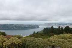 Udsigt fra Signal Hill Lookout, Dunedin, South Island, New Zealand