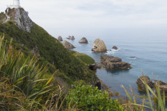 Nuggett Point Lighthouse, South Island, New Zealand