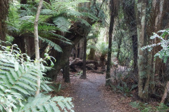 Cathedral Caves, South Island, New Zealand