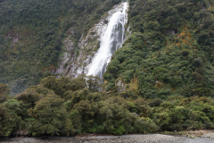Milford Sound, South Island, New Zealand