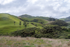 Wharariki, South Island, New Zealand