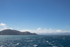 På vej fra Picton på sydøen til Wellington på nordøen.