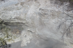 Waiotapu Thermal Park, North Island, New Zealand