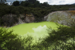 Waiotapu Thermal Park, North Island, New Zealand