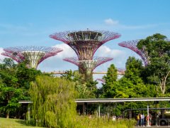 Gardens by the Bay, Singapore