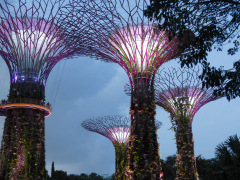 Gardens by the Bay, Singapore