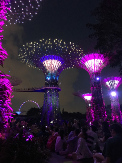 Gardens by the Bay, Singapore