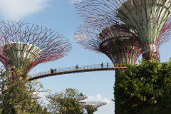 Gardens by the Bay, Singapore