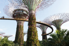 Gardens by the Bay, Singapore