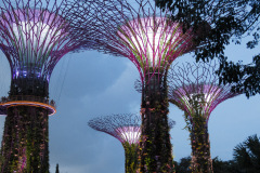Gardens by the Bay, Singapore