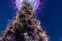 Gardens by the Bay, Singapore