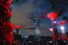Gardens by the Bay, Singapore