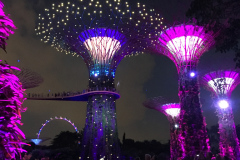 Gardens by the Bay, Singapore