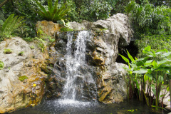Botanic Gardens, Singapore
