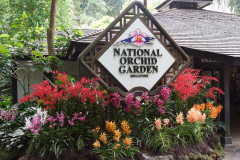National Orchid Garden, Singapore