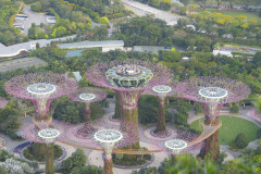 Udsigt fra toppen af Marina Bay Sands, Singapore