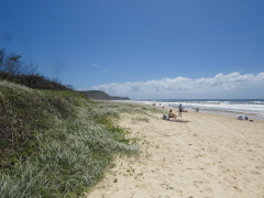 Noosa National Park, Queensland, Australien