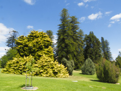 Adelaide Botanic Garden, Adelaide, South Australia, Australien