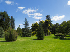 Adelaide Botanic Garden, Adelaide, South Australia, Australien