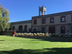 Yalumba Winery, Angaston, South Australia, Australien