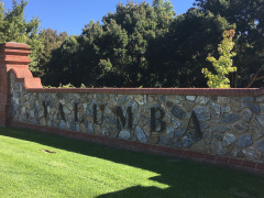 Yalumba Winery, Angaston, South Australia, Australien