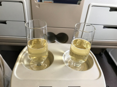 Hårdt arbejde på Business Class med Singapore Airlines fra Adelaide til Singapore