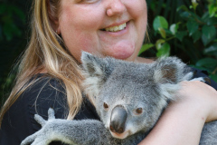 Australia Zoo, Queensland, Australien. Sorry, vi kunne ikke lade være med at hilse på denne lille skabning, en megainteressant halv time i selskab med denne unge Koala og en dyrepasser som kunne fortælle alt hvad der var værd at vide.