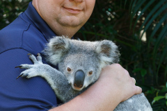 Australia Zoo, Queensland, Australien. Sorry, vi kunne ikke lade være med at hilse på denne lille skabning, en megainteressant halv time i selskab med denne unge Koala og en dyrepasser som kunne fortælle alt hvad der var værd at vide.