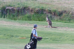 Stirling Golf Club, South Autralia, Australien