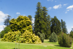 Adelaide Botanic Garden, Adelaide, South Australia, Australien