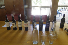 Barossa Vintners, Tanunda, South Australia, Australien