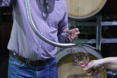 Barossa Vintners, Tanunda, South Australia, Australien