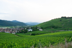 Skønne dejlige Alsace