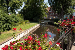Colmar i Alsace