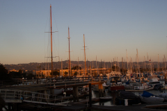 Berkeley Marina, Berkeley, USA