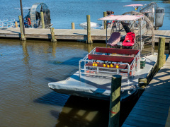 Alligatortur med Airboat Adventures, New Orleans, Louisiana, USA