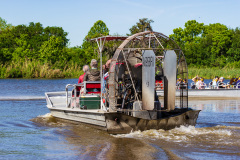 Alligatortur med Airboat Adventures, New Orleans, Louisiana, USA
