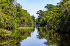 Alligatortur med Airboat Adventures, New Orleans, Louisiana, USA