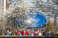 Cloud Gate, Chicago, Illinois, USA