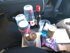 Hjemad mod København via Stockholm med SAS med ekstra forsyninger