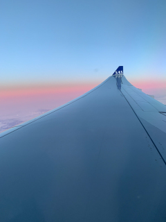 Hjemad mod København via Stockholm med SAS