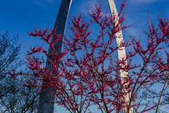 Gateway Arch, St. Louis, Missouri, USA