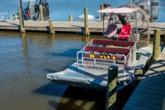 Alligatortur med Airboat Adventures, New Orleans, Louisiana, USA